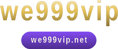 we999vip logo